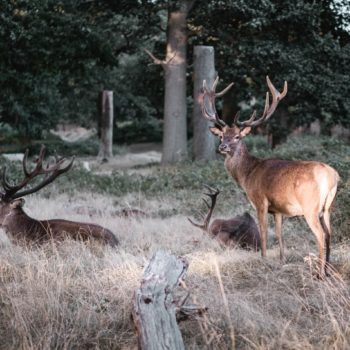 C:\Users\DSG - Shaine\Downloads\sophie-keen-760705-unsplash.jpg