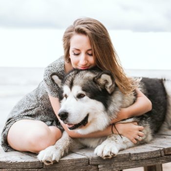 D:\Juan\Desktop\CRC\81965-0265JA - The Reason Why Pet Owners Purchase CBD For Their Pets\pexels-photo-3671298.jpeg